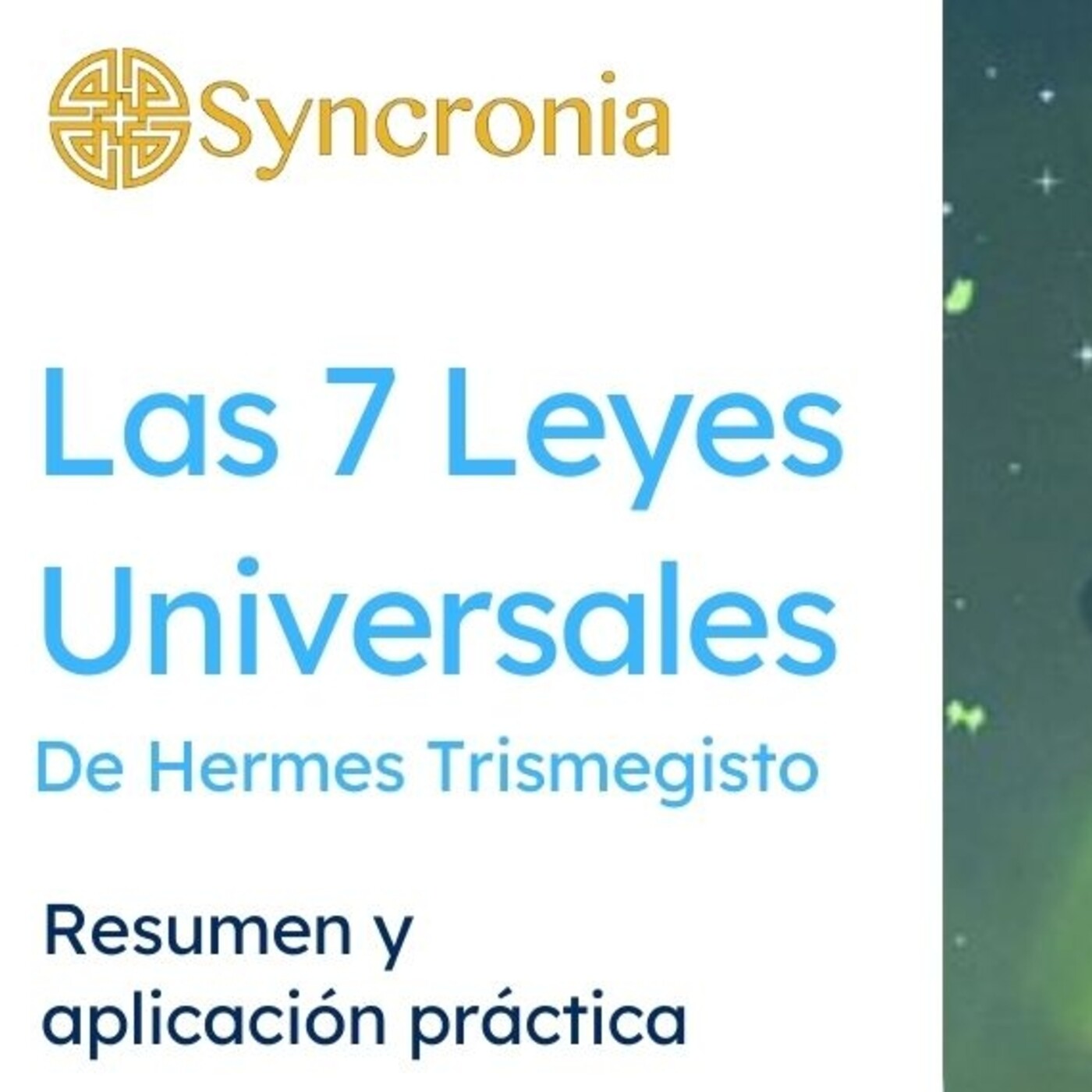 Charlas Syncronia