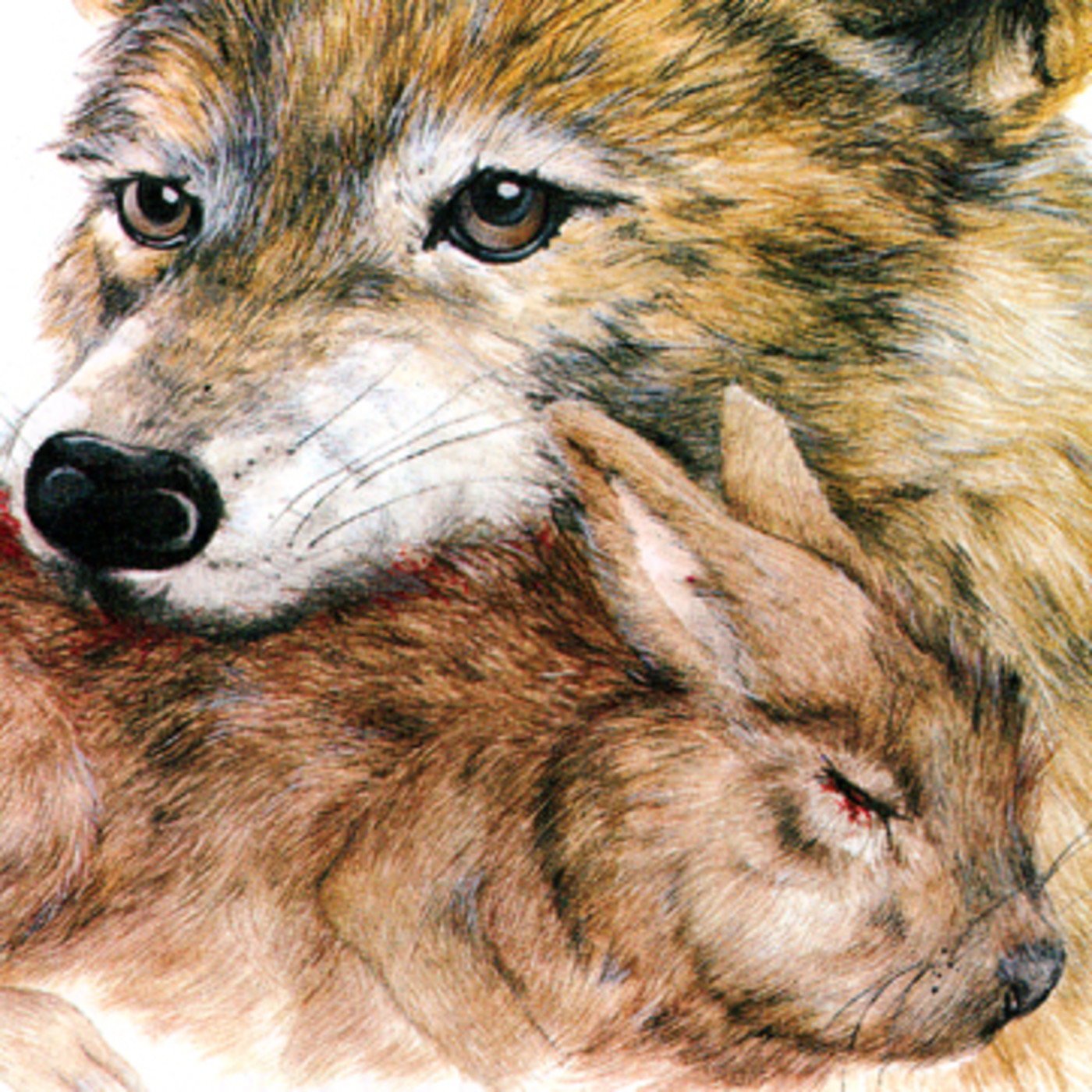 Un lustro de Mixtecos y Migrantes