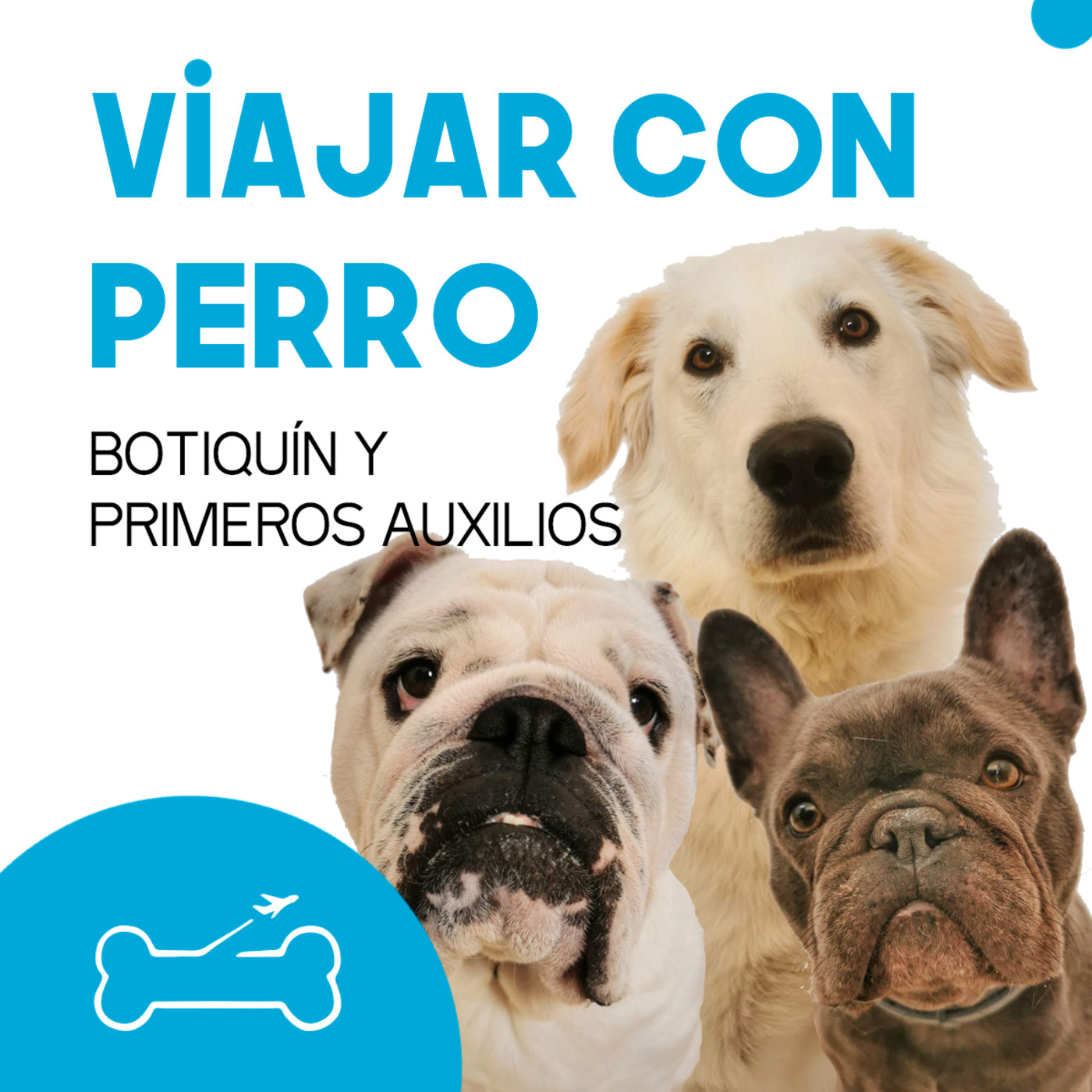 Viajar con perro. El podcast de Turismo Canino