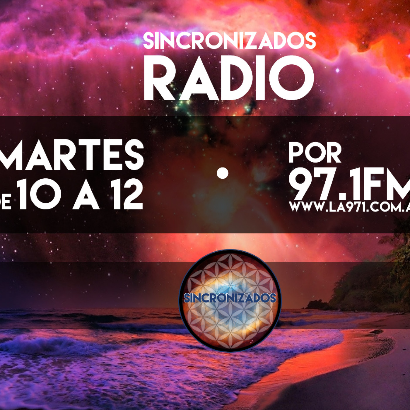 Sincronizados