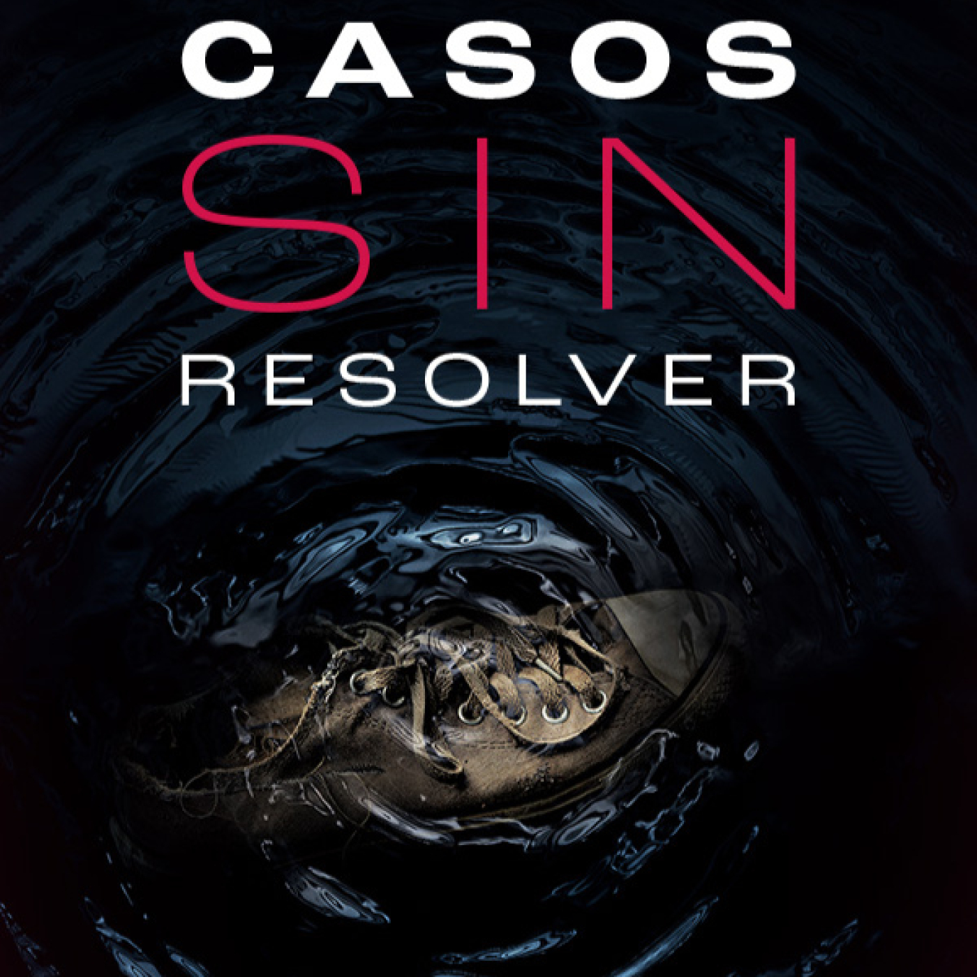 Casos sin resolver T3: Lección de homicidio · El ángel oscuro