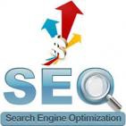 Increase 60% traffic with seo services India