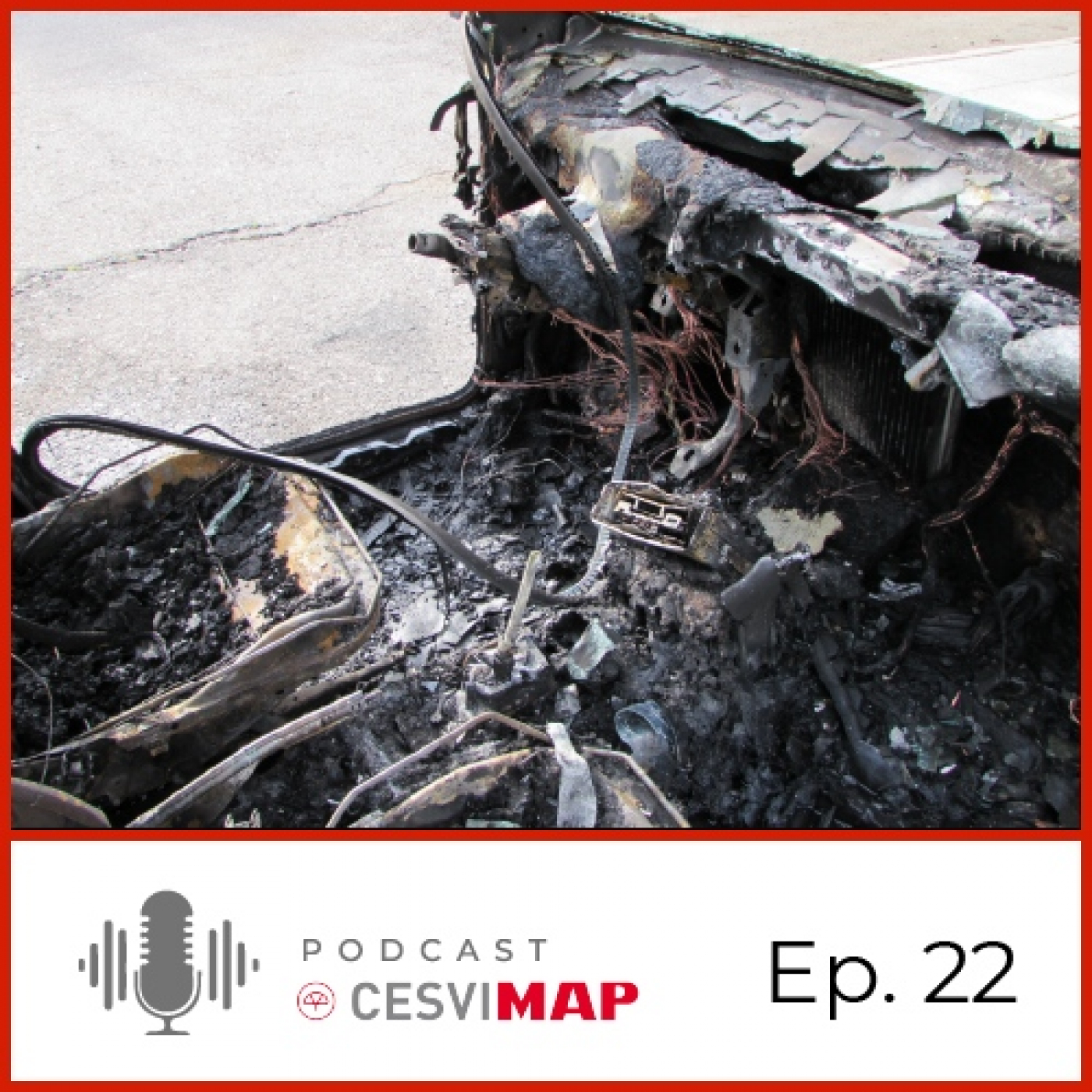 CESVIMAP podcast
