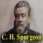 embed image