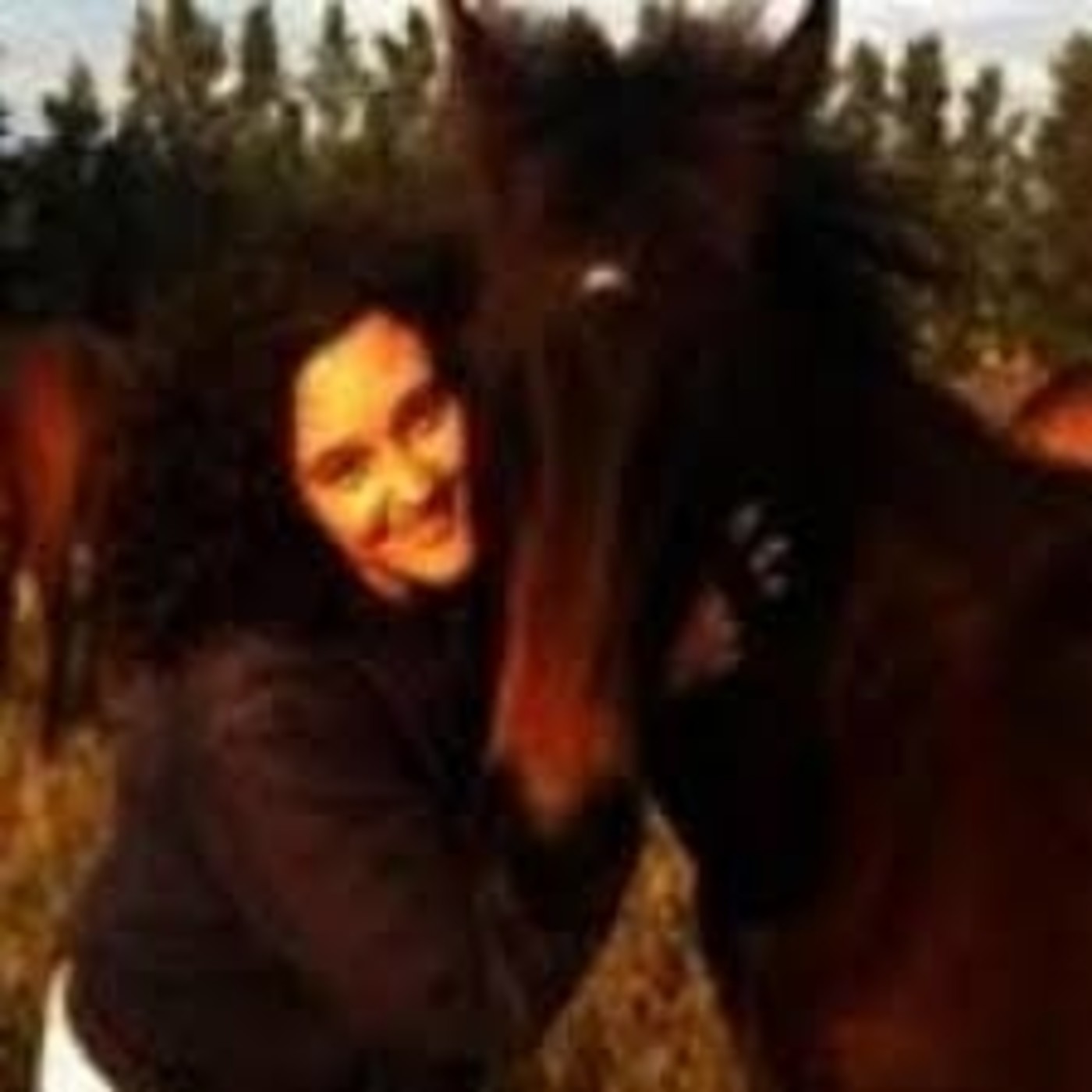 LA TELARAÑA PROGRAMAS ANTERIORES