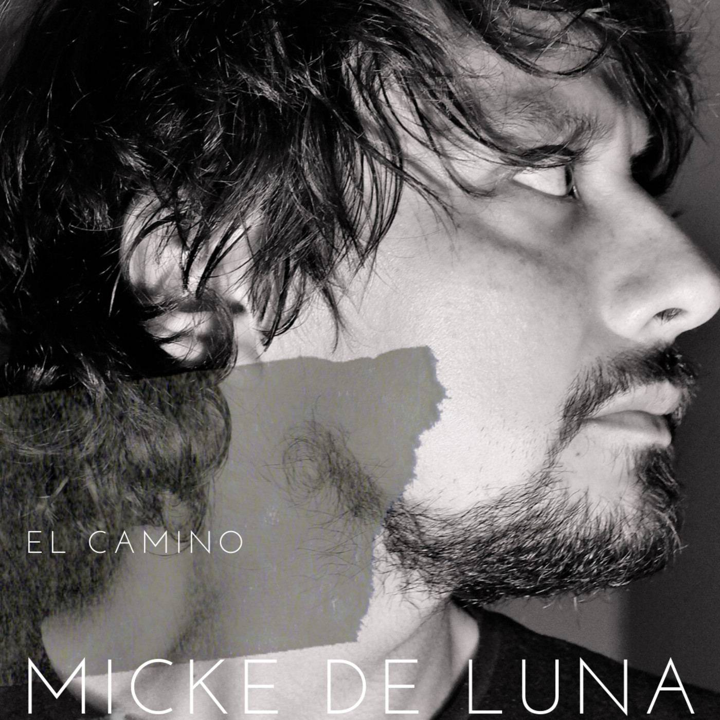 micke de luna