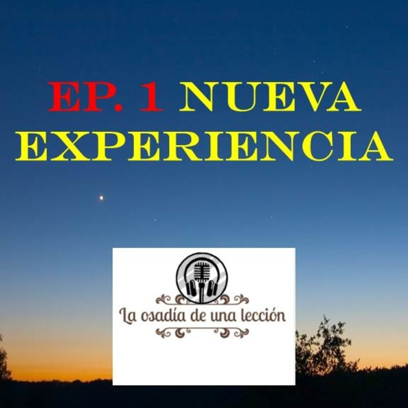 LA OSADIA DE UNA LECCION