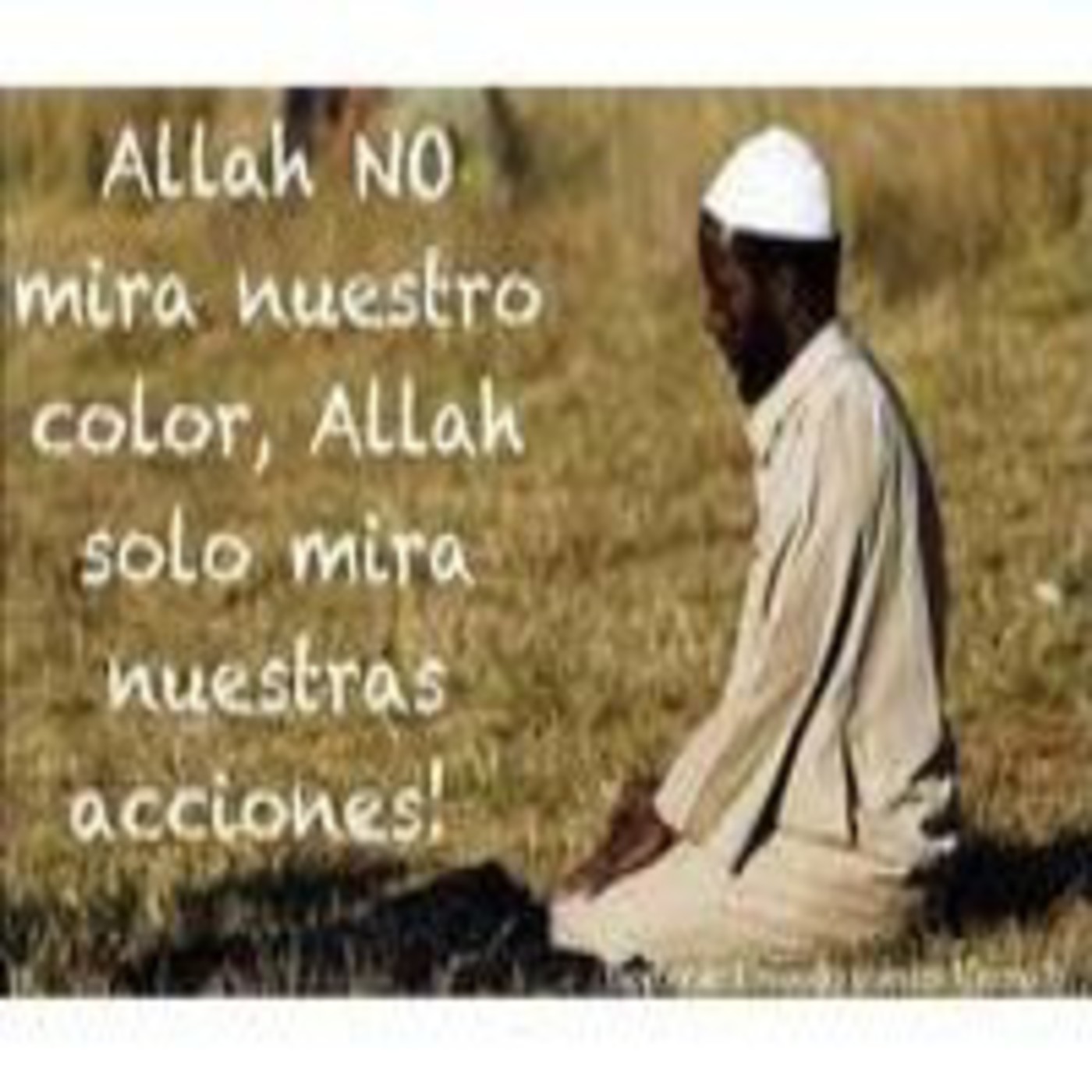 Podcast Colección de Risale-i Nur