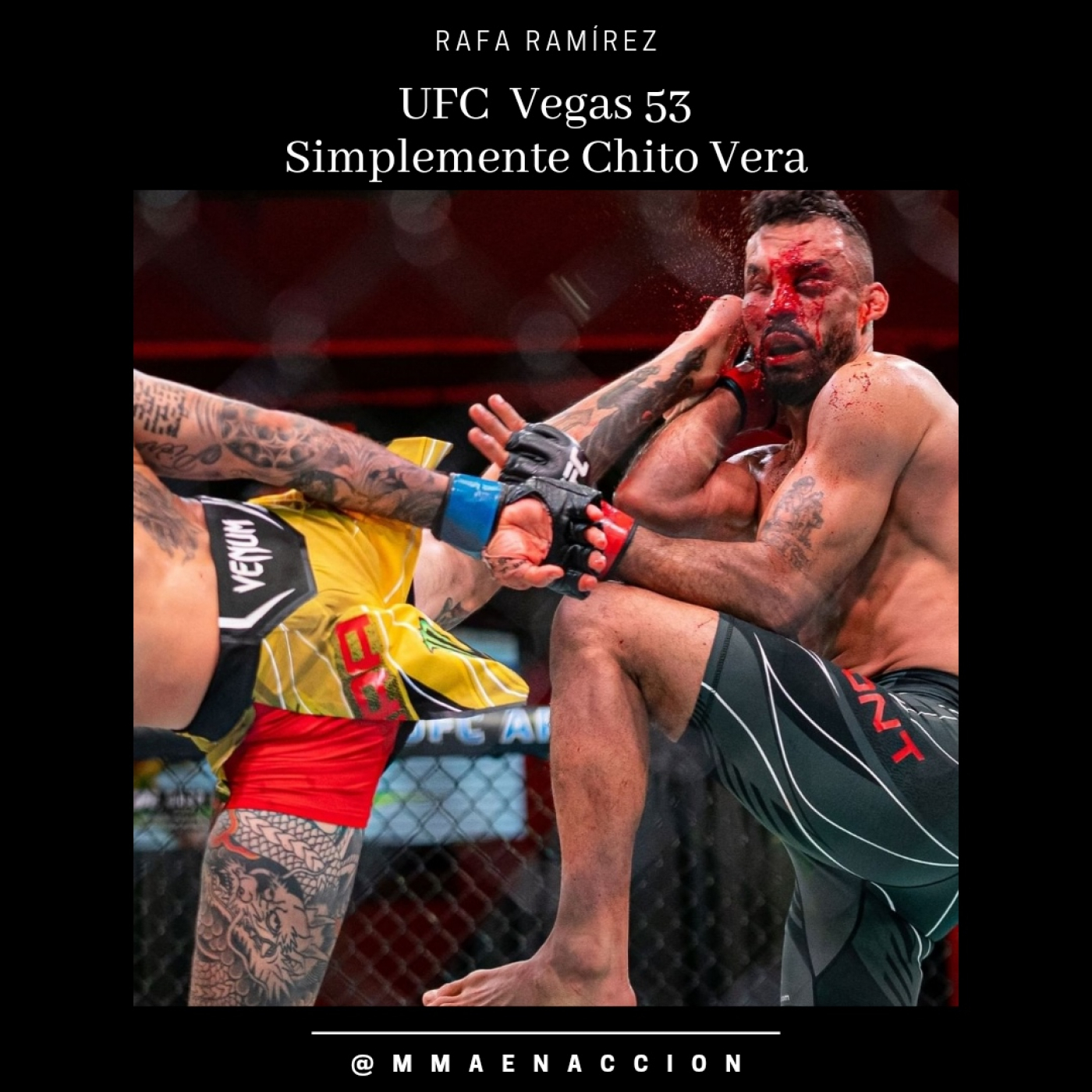 MMA en acción