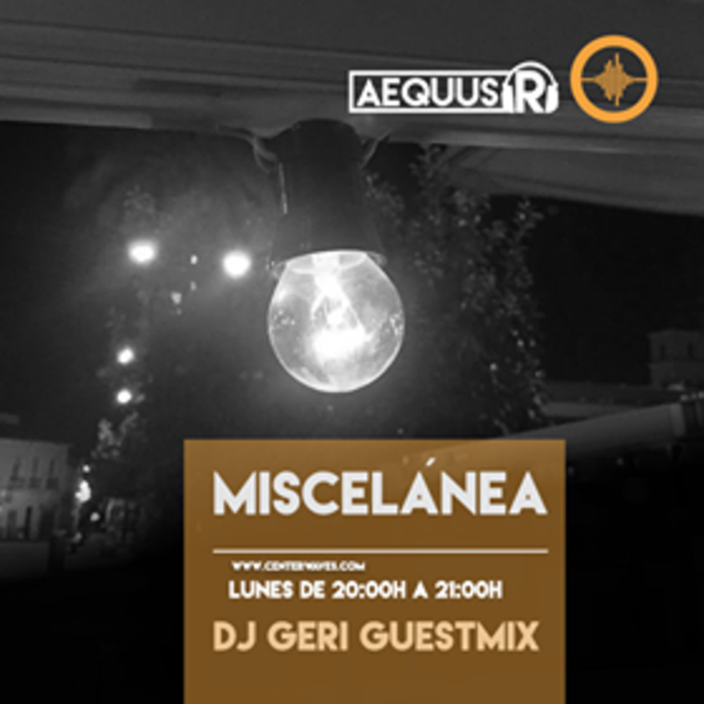 Guest Mixes