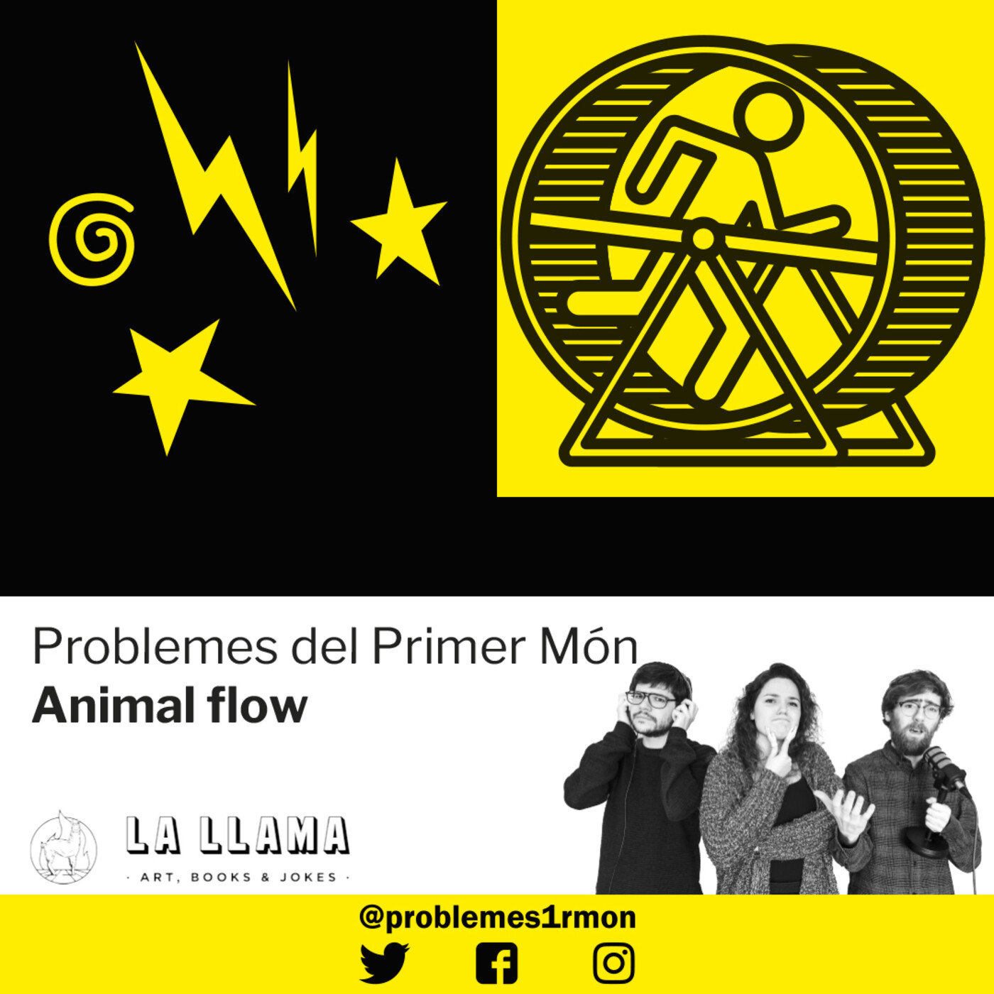 Problemes del Primer Món
