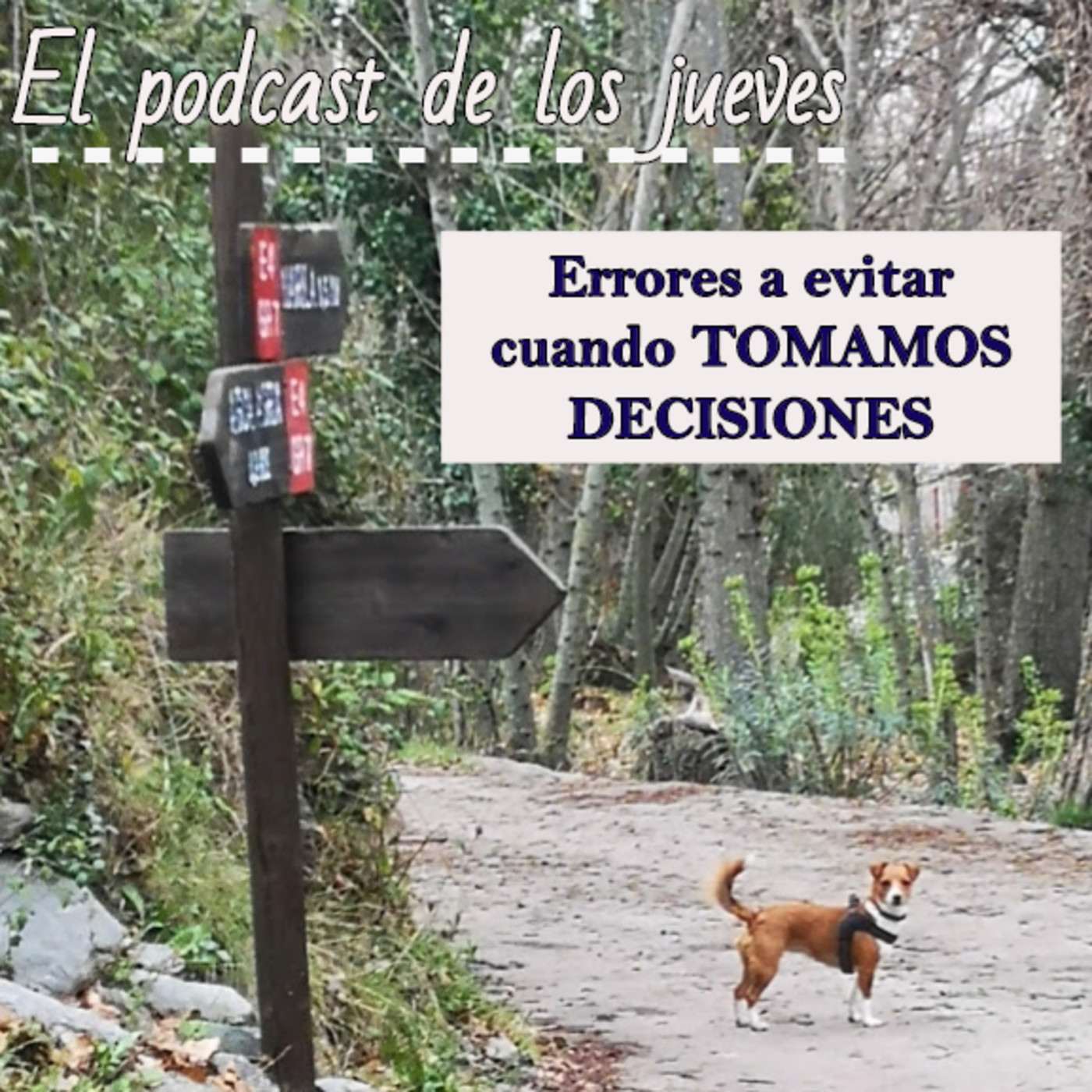 El diván de Lapinturera