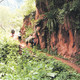 Las Yungas - Jujuy