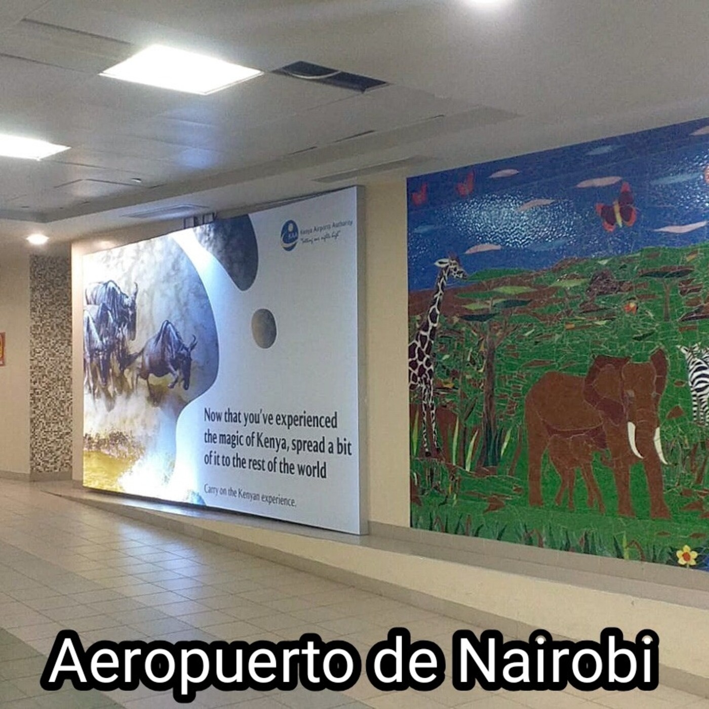 FLORES EN EL CONGO