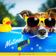 Matinal MDT Radio 273 18-06-19