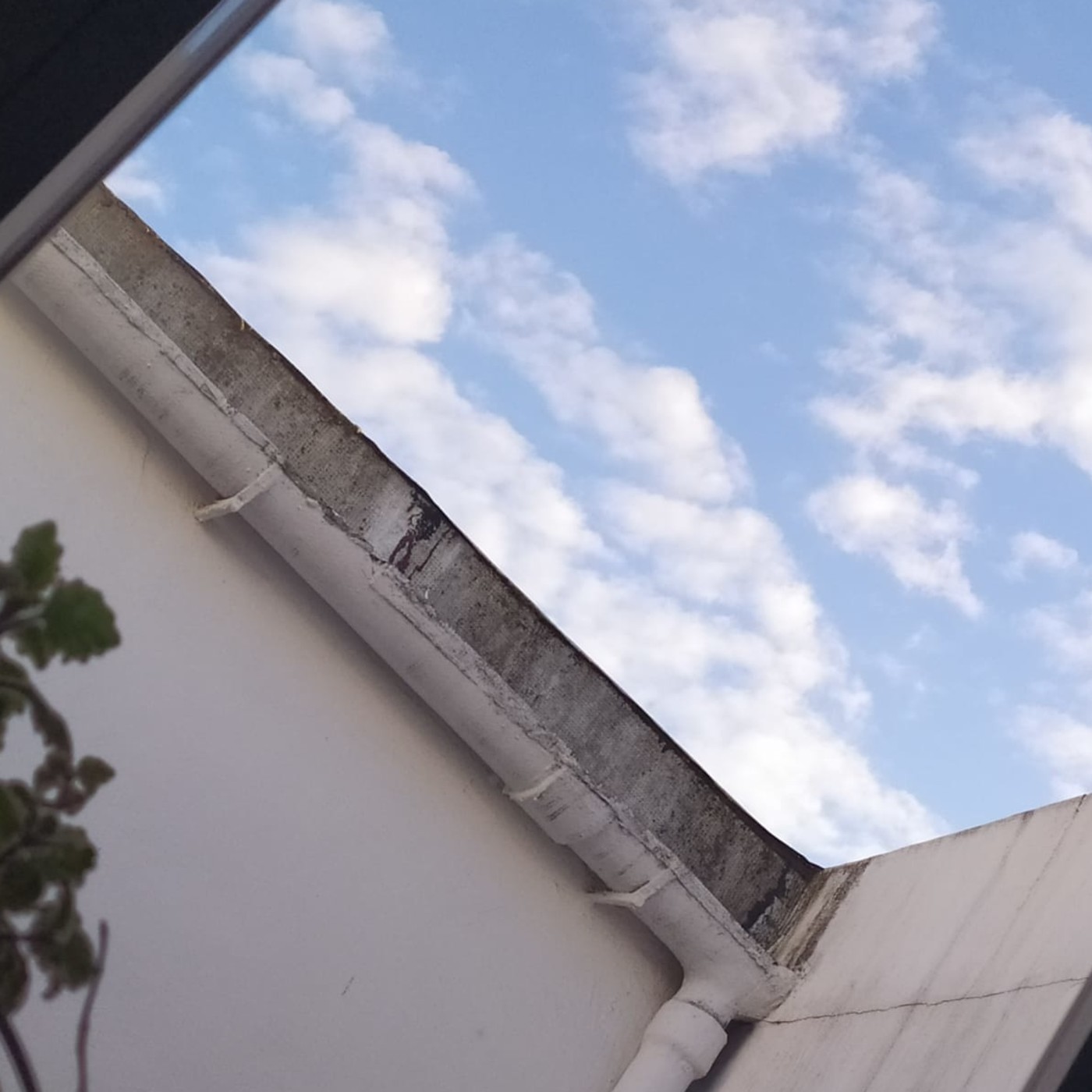 Voces desde la cuarentena