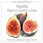 La Noche en Vela - RNE - 12 de abril de 2013 - Partes del cuerpo con origen frutal