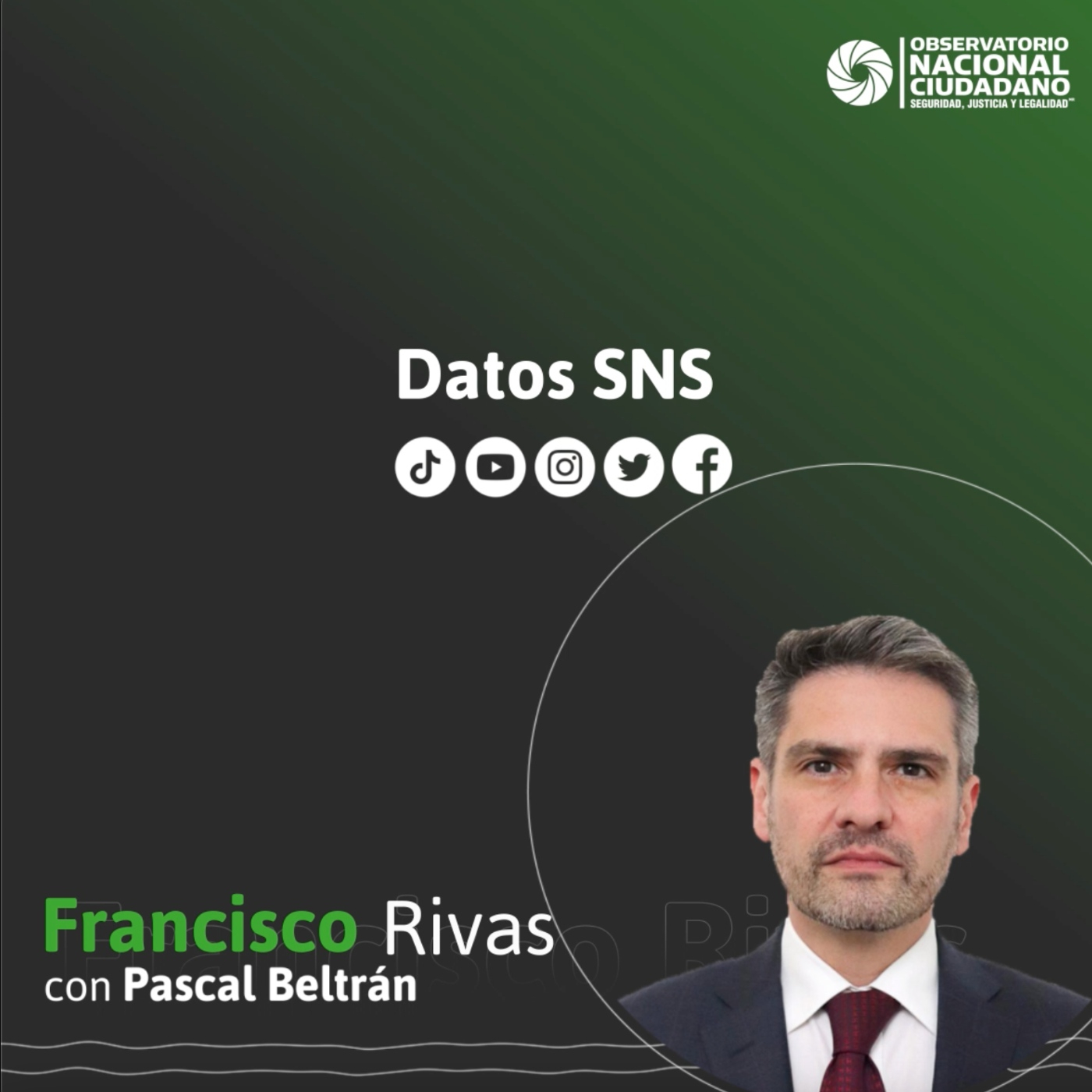 Observatorio Nacional Ciudadano