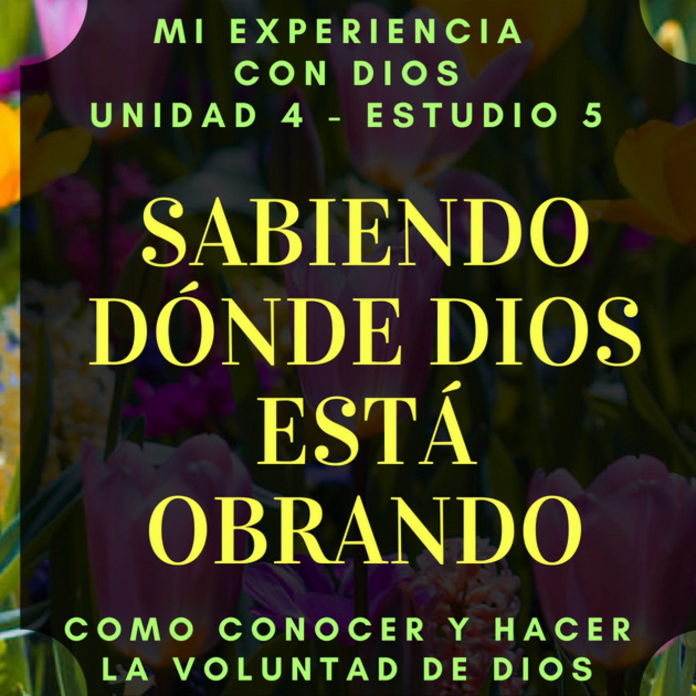 Mi Experiencia con Dios