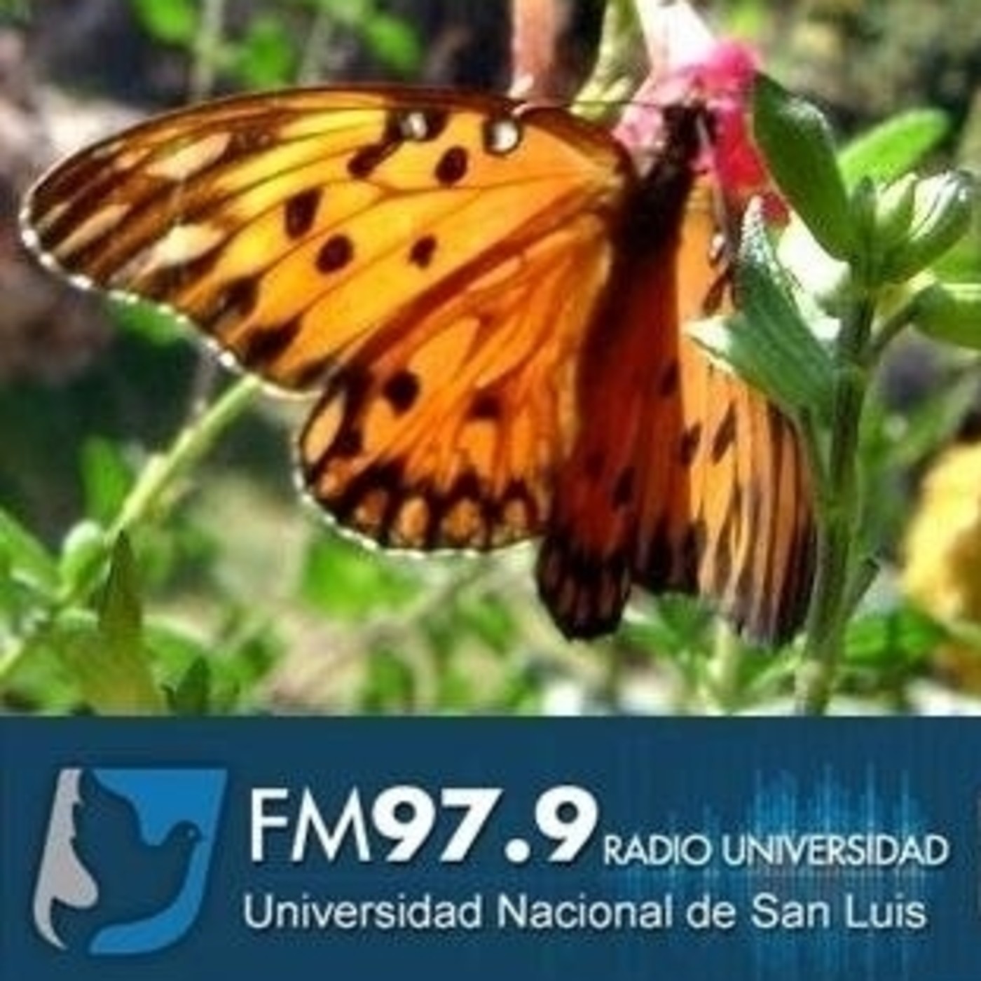 Programa especial 26 años Radio Unsl