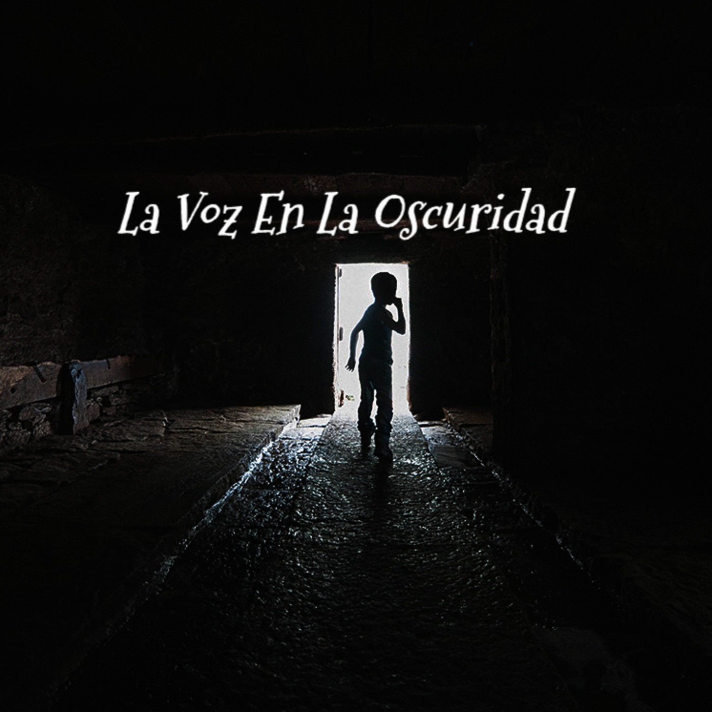 La Voz en la Oscuridad