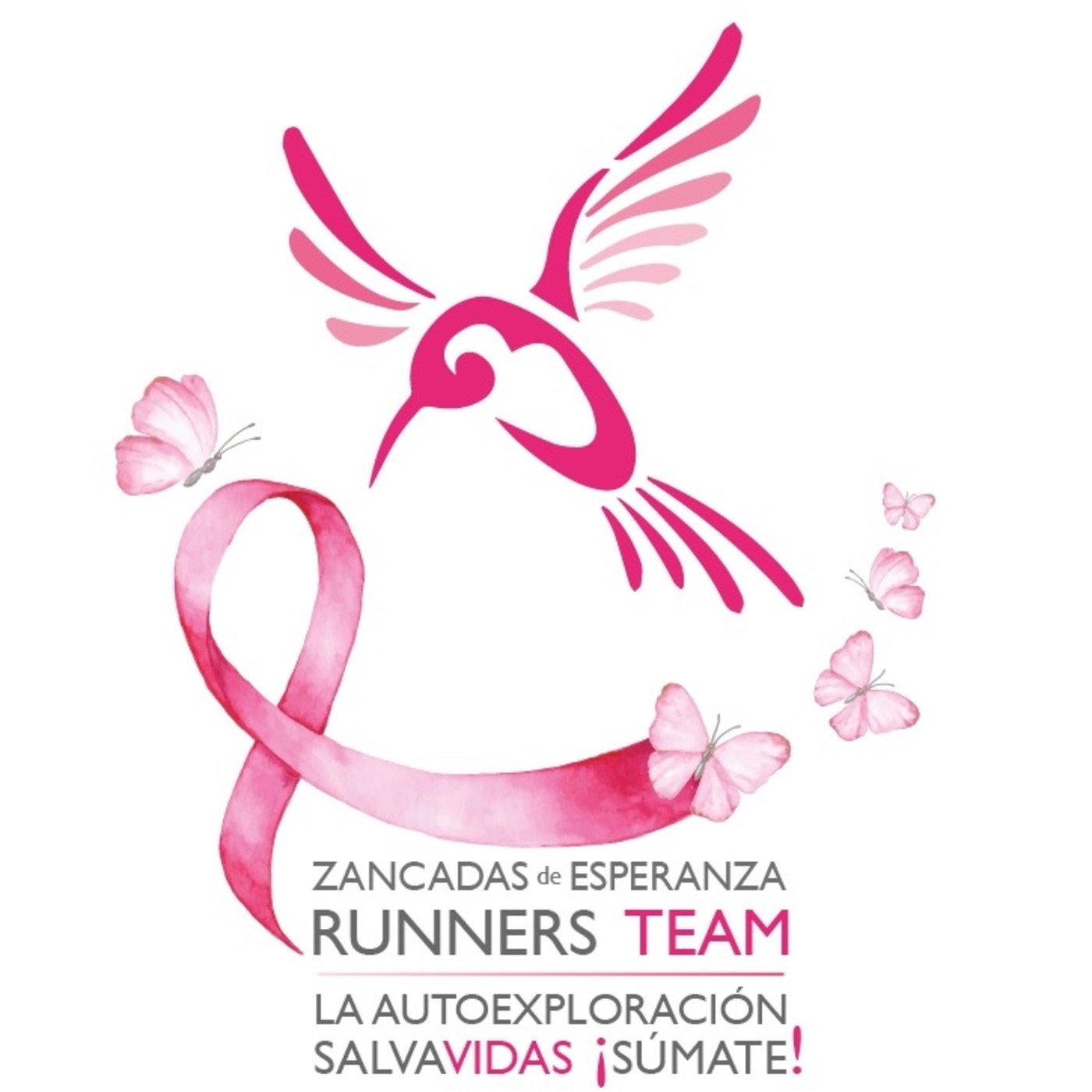 RADIO ZANCADAS