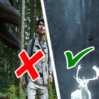 Bosque Aokigahara Jukai: