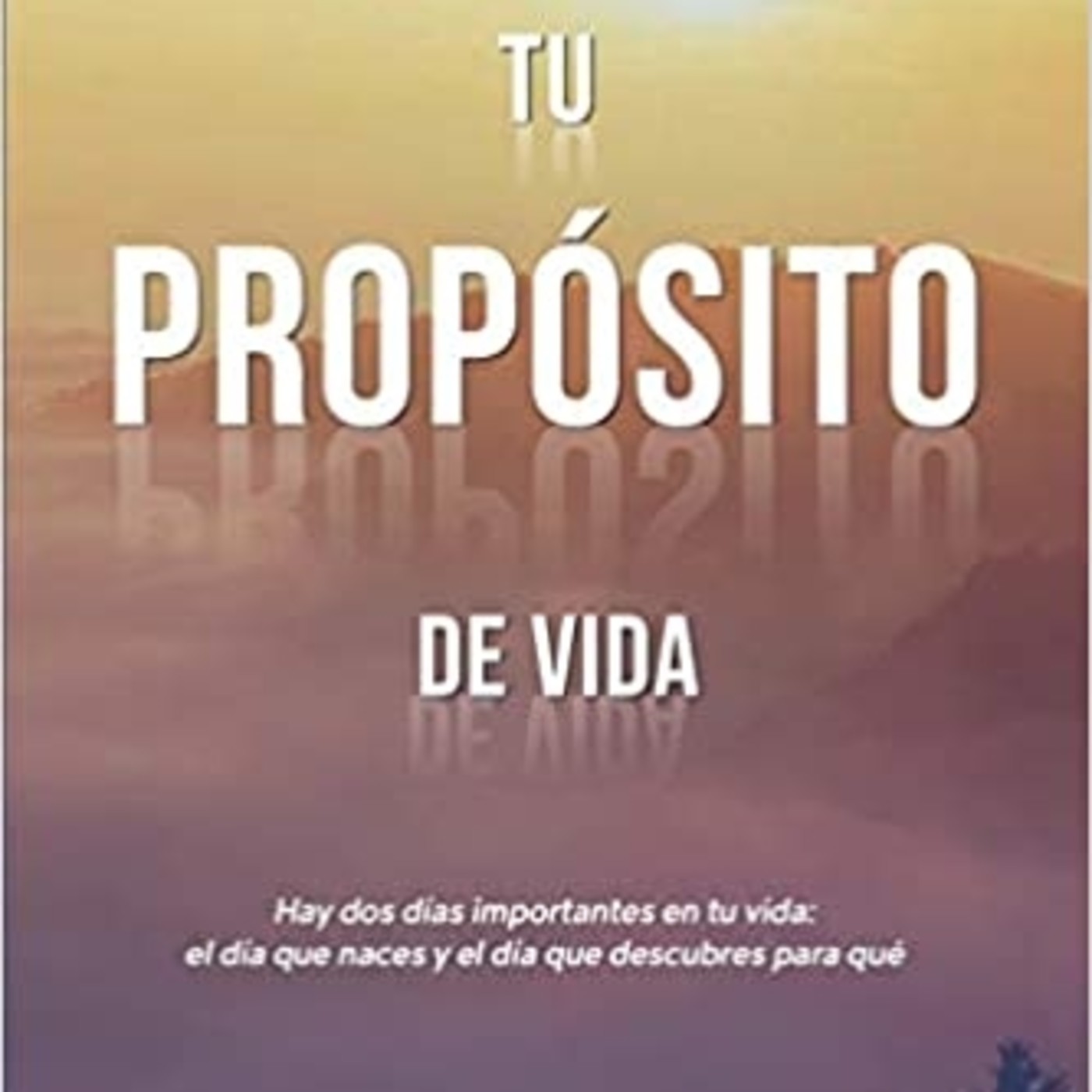 Disfrutando Leyendo