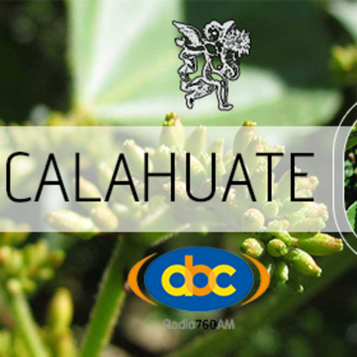El Ángel de tu Salud - CALAHUATE I episode artwork