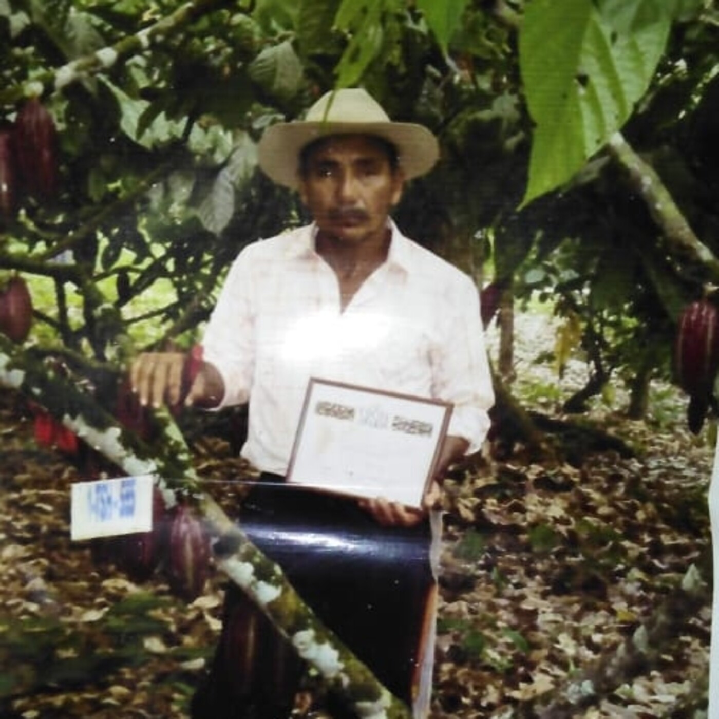 Colombianos emprendedores episode artwork