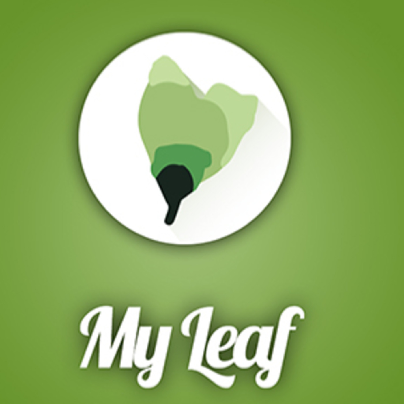 A aplicación para conectar as enfermidades raras: My Leaf episode artwork