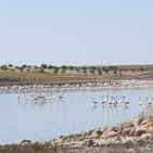 Humedales de La Mancha