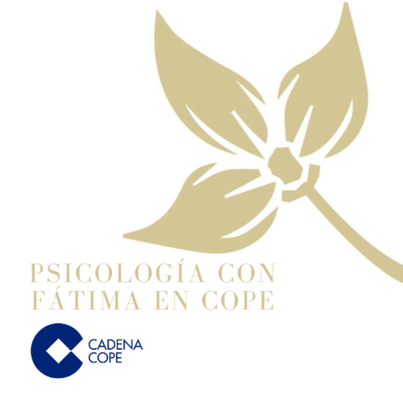 ENTREVISTAS Y ACTUALIDAD