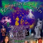 Programa 156: FENÓMENOS ANÓMALOS