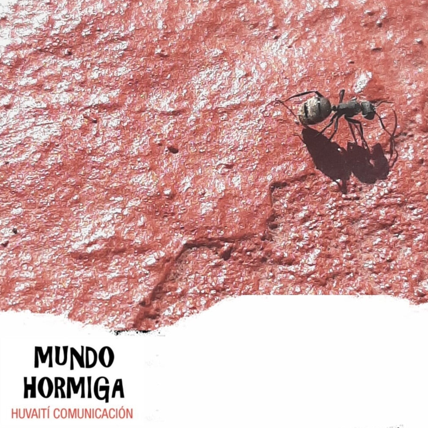 Mundo Hormiga 10 de enero de 2021 episode artwork