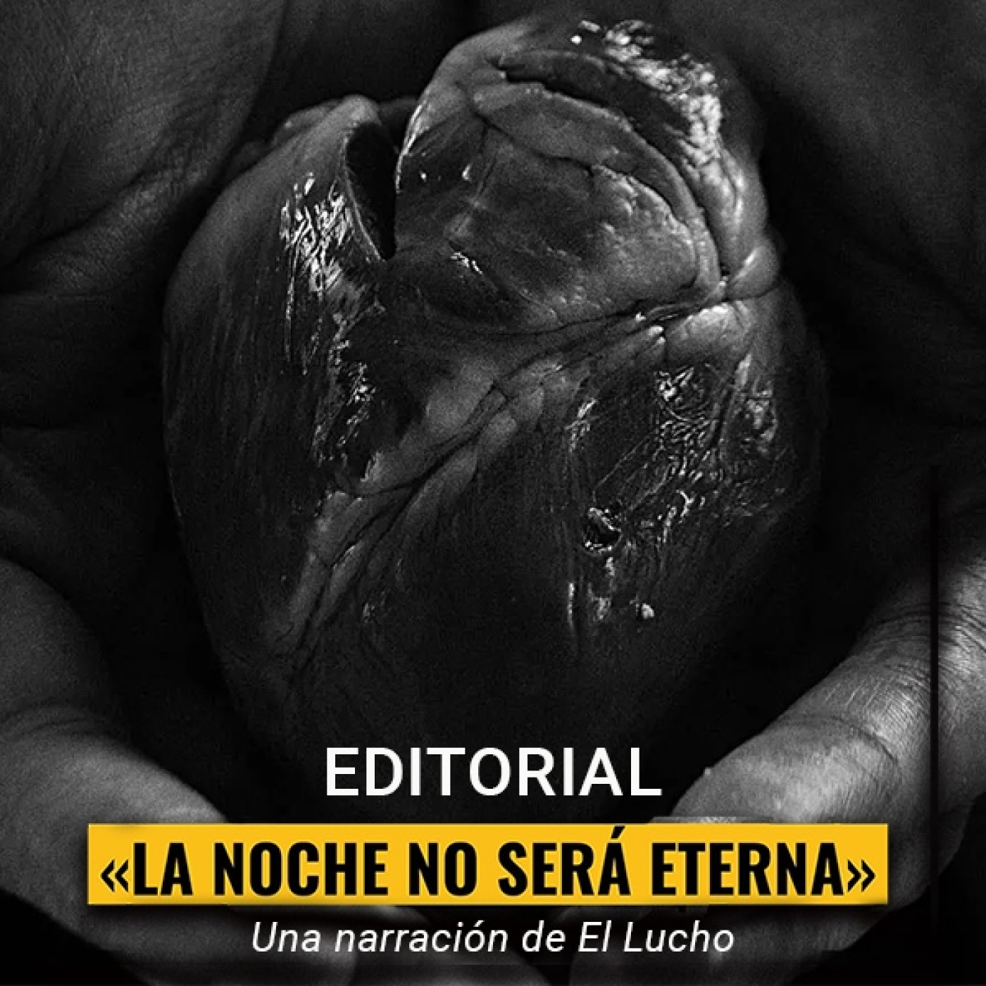 elTOQUE en vivo