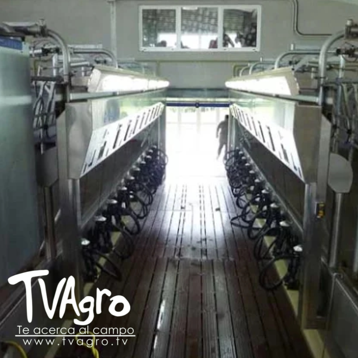 TV AGRO