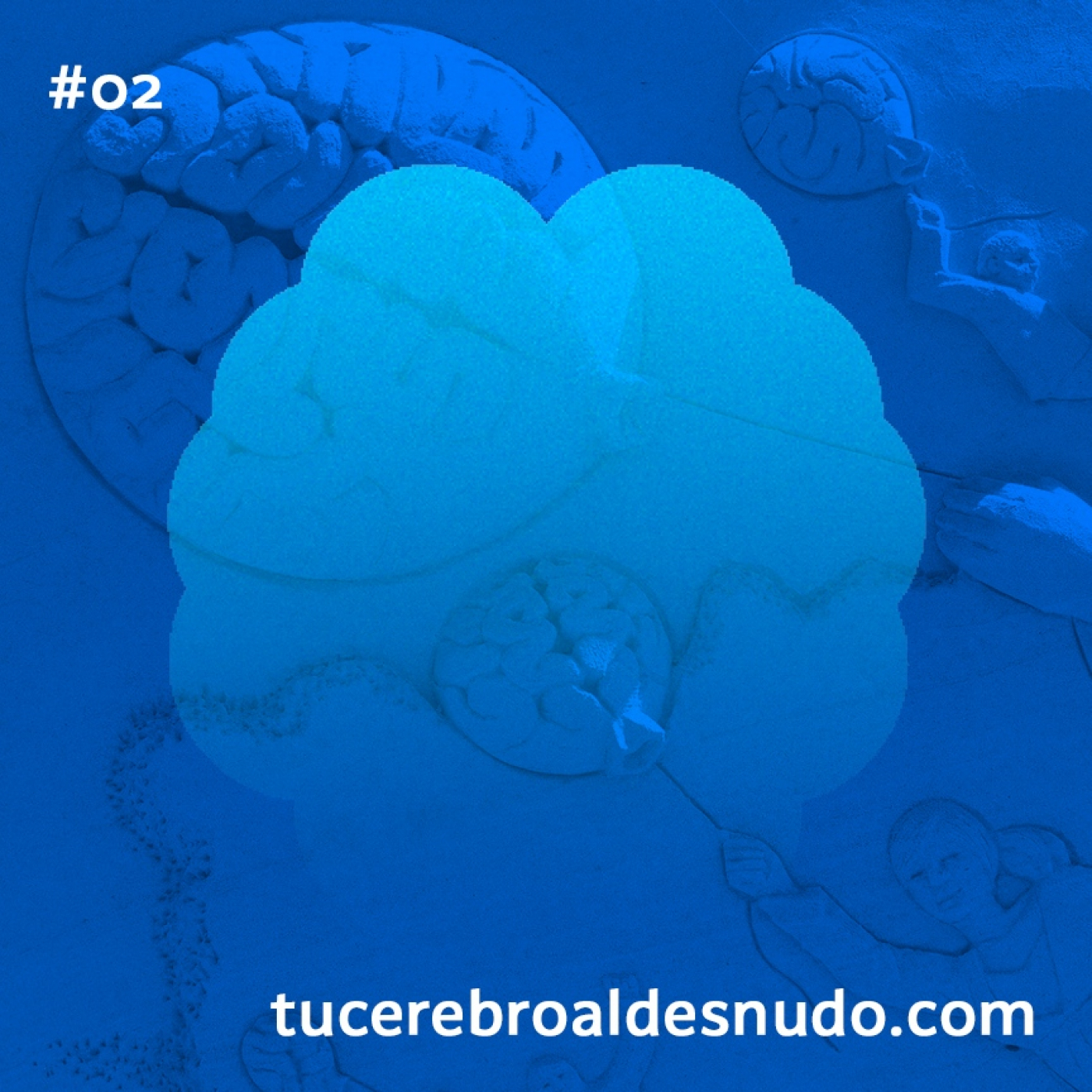 Cerebro Injodible®