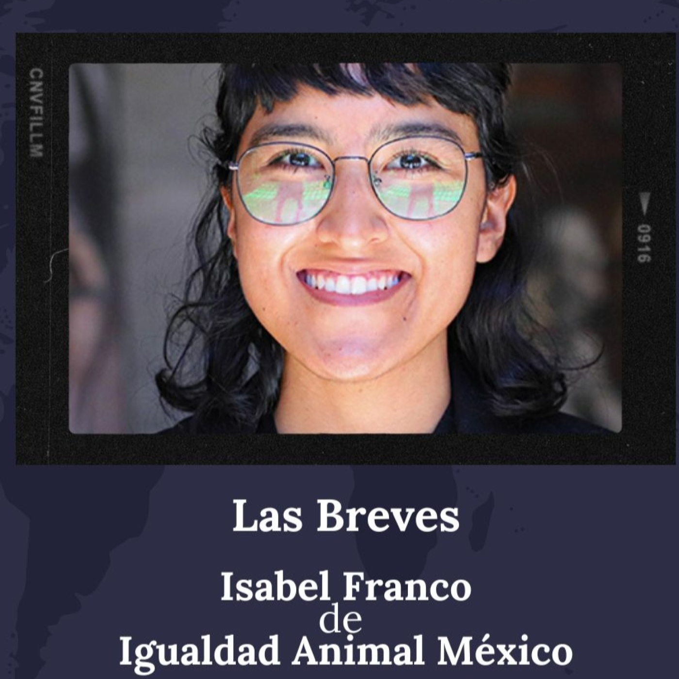 Todos Somos Animales News