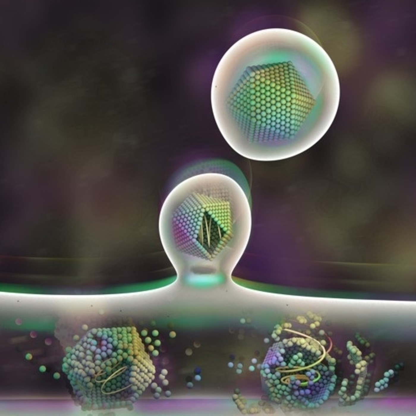 La Brújula de la Ciencia