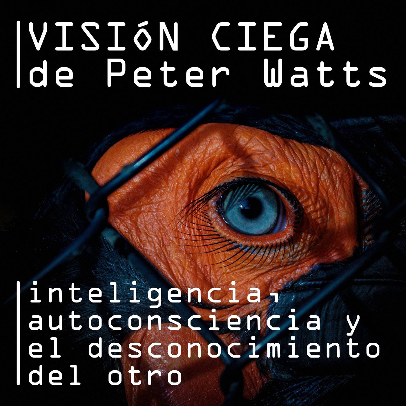 Visión Prospectiva