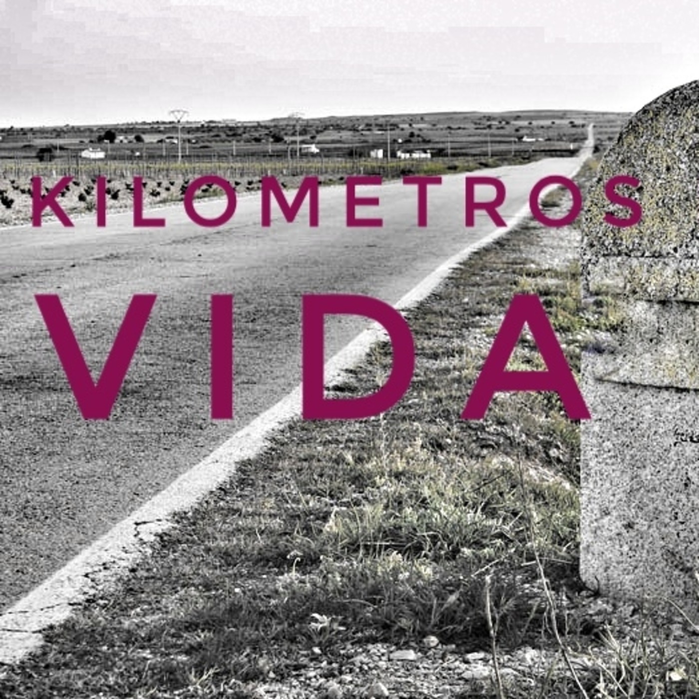 Kilómetros de Vida