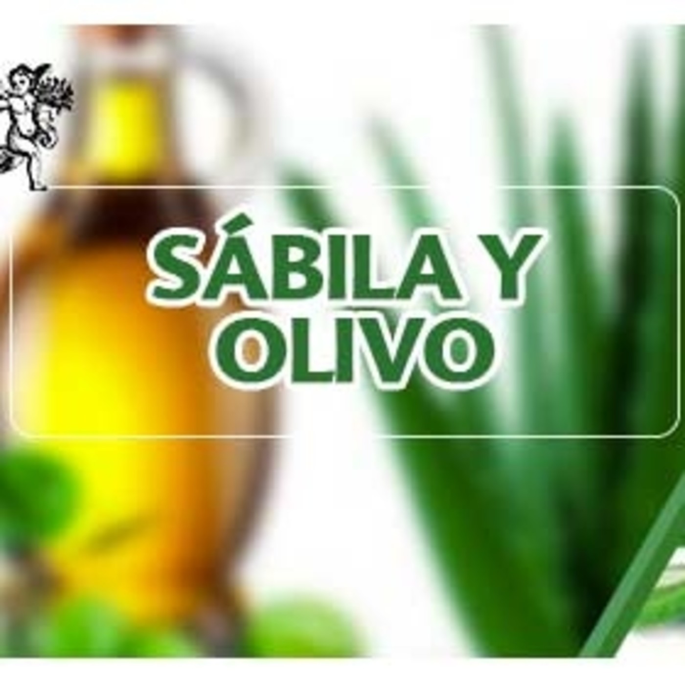 El Ángel de tu Salud - SÁBILA Y OLIVO