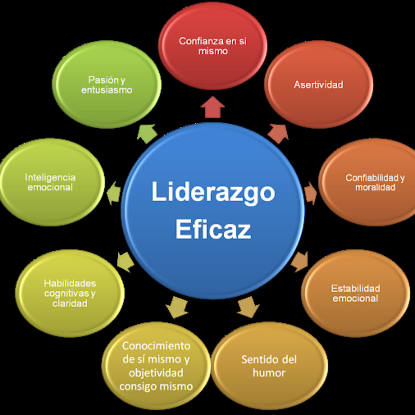 TMV LIDER-COACH