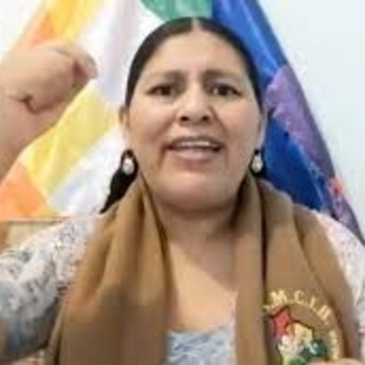 Concejo Nacional e Internacional  Comunicacion Int