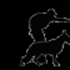 Club Canino ADRI-CANM / Futuros Campañas de concienciación