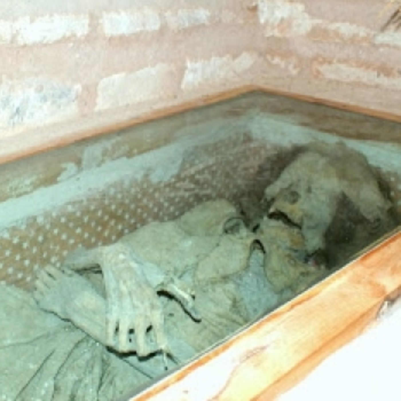 Generación Alien