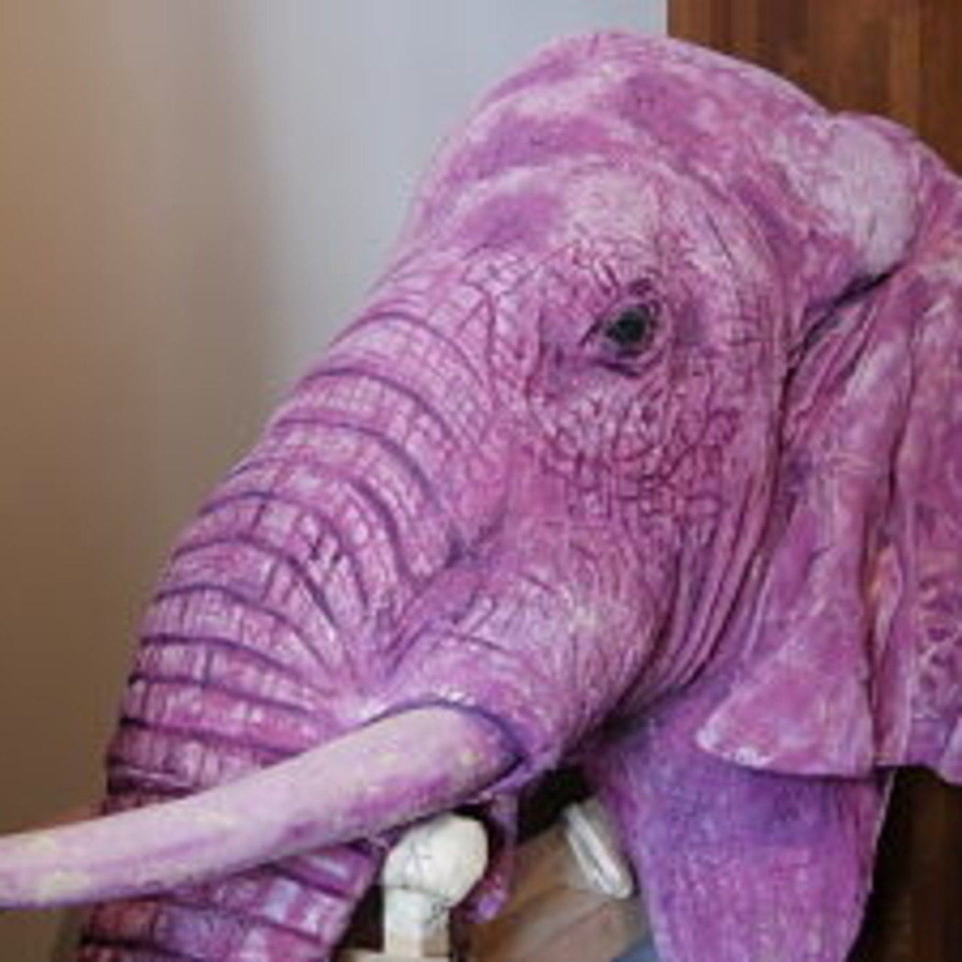 Nunca serás tan joven