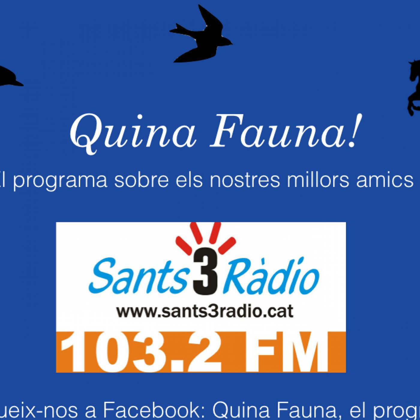 Quina Fauna