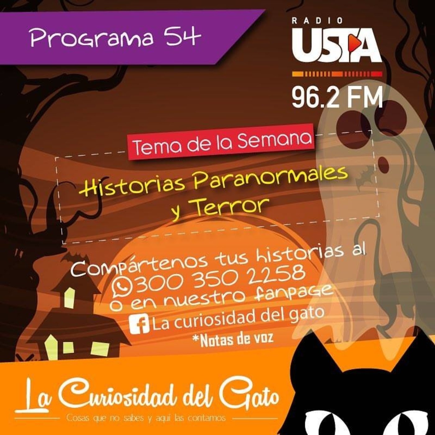 La Curiosidad del Gato